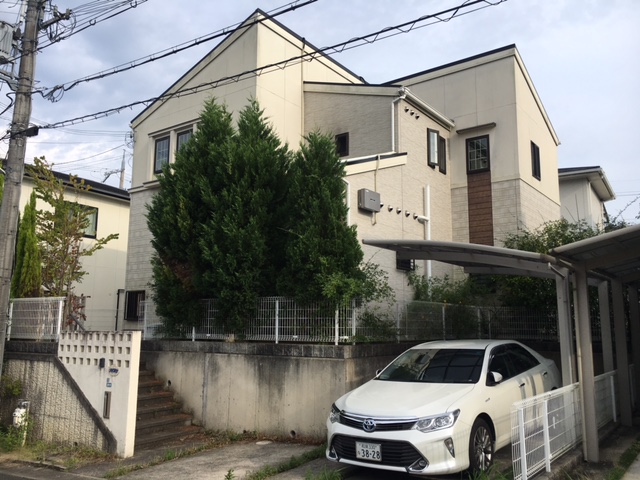 before写真